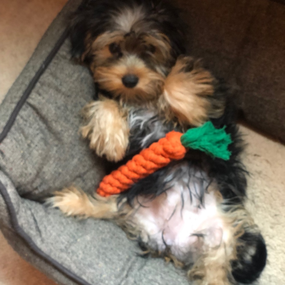 Meet your Posher, Bei